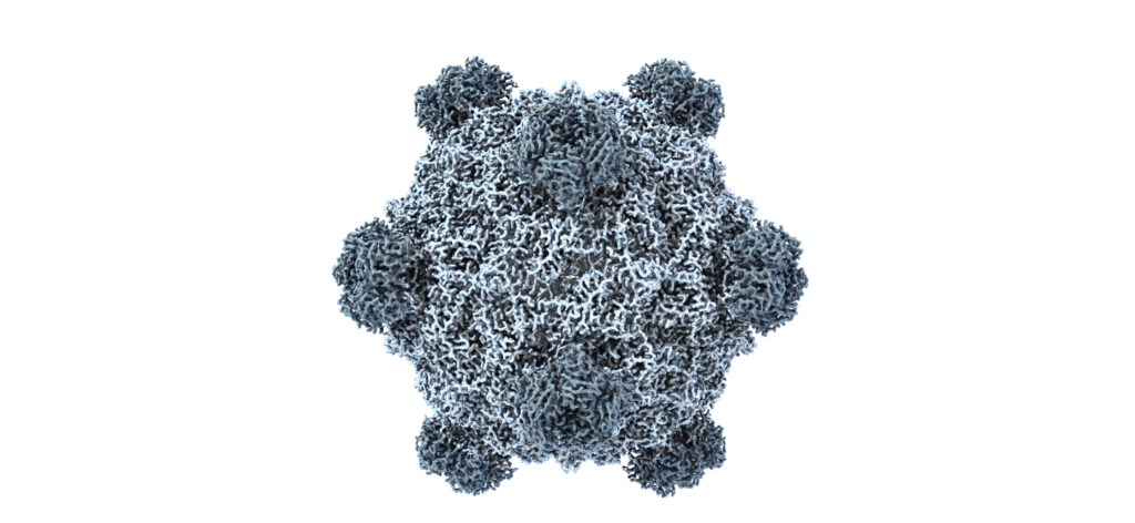 AI Designs Viable Bacteriophage Genomes, Combats Antibiotic Resistance