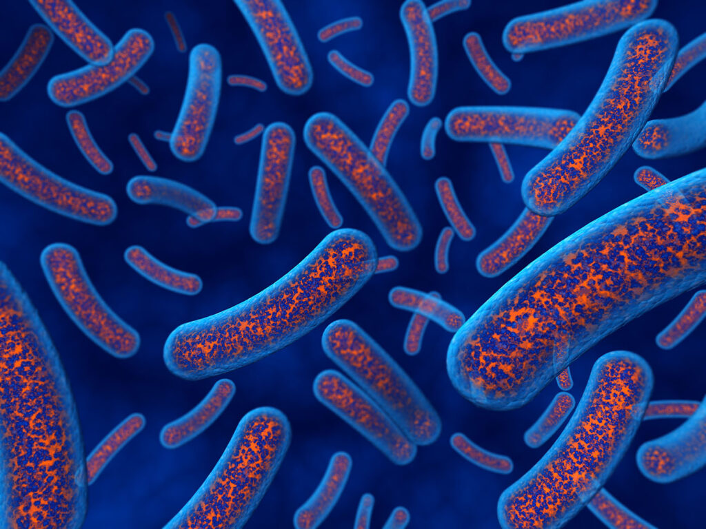 3d macro render of bacteria under the microscope