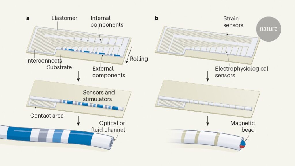 Bioelectronic implants built from rolled-up stretchy circuits