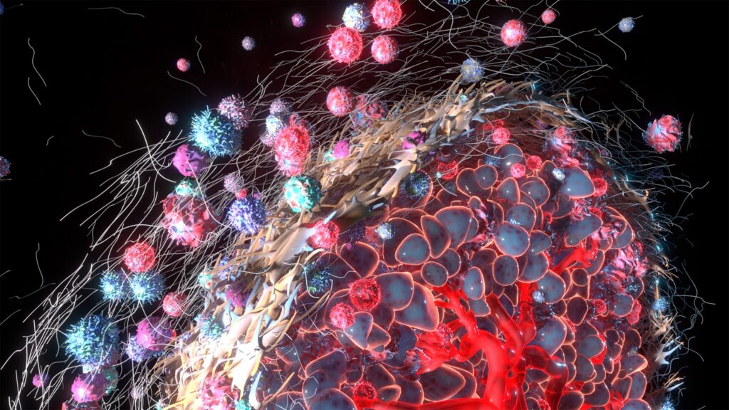 Cancer Immunotherapy Could Be Boosted by Reducing TME-Induced Telomere Damage