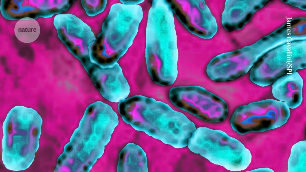 Common air pollutant has a secret weapon: bacterial toxins