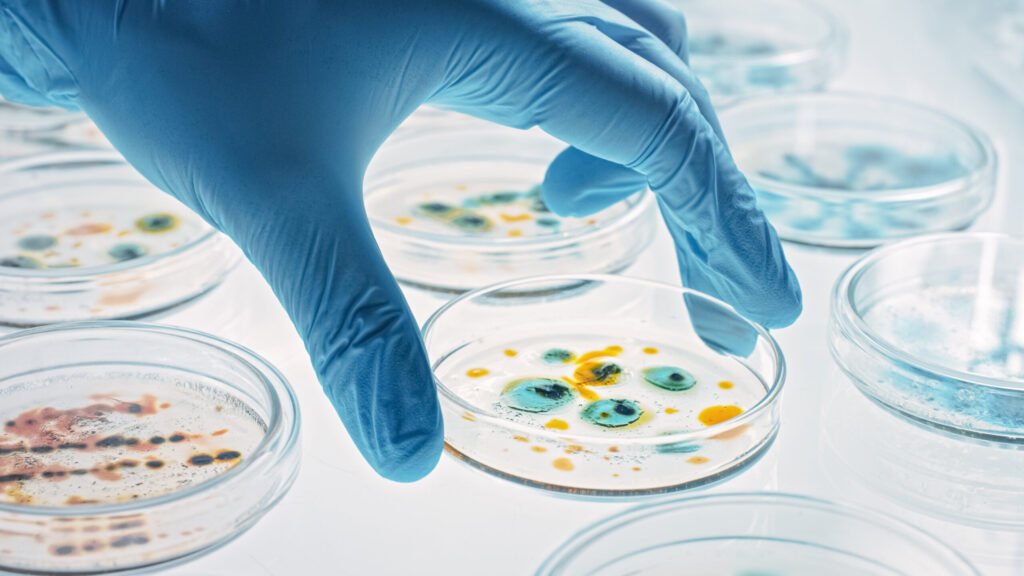 DNA Samples Reveal Hidden Antibiotic Resistance Genes