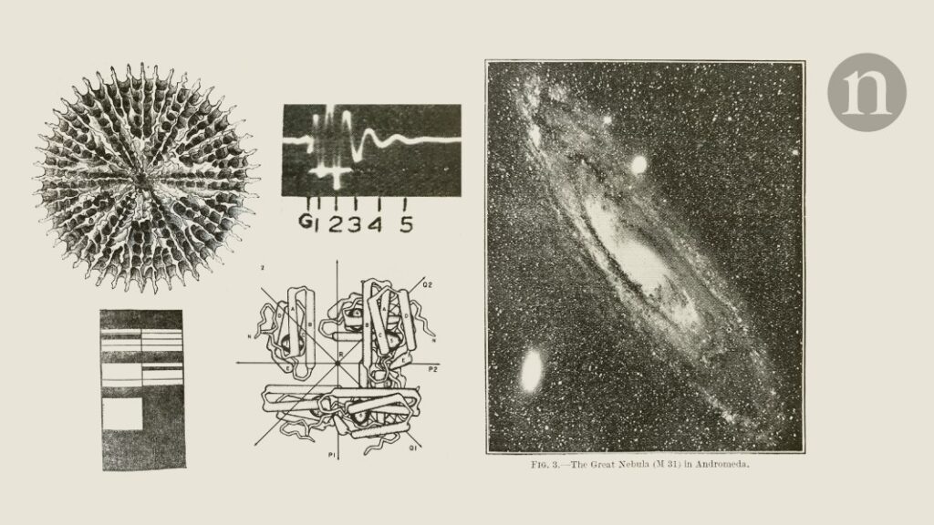 Fossil fight: how Raymond Dart countered some unfair criticism