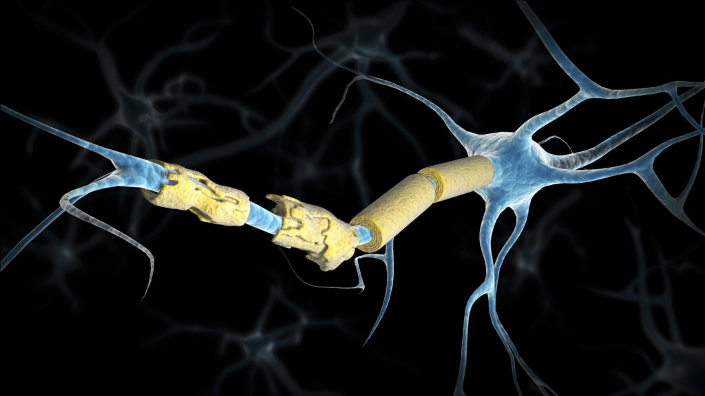 Gene Therapy Can Restore Myelin in Children with Fatal Brain Disorder