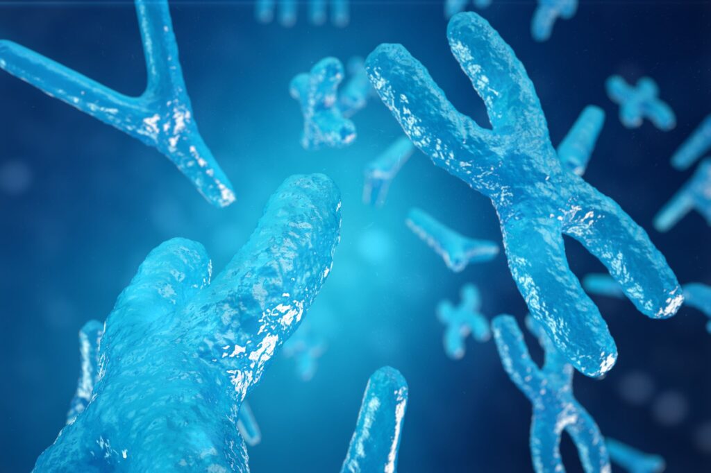 Genome Evolution Revealed by Robertsonian Chromosome Rearrangements