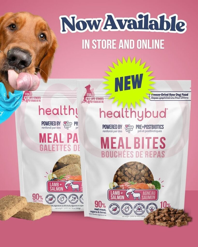 Healthybud launches freeze-dried raw food with pre- and postbiotics