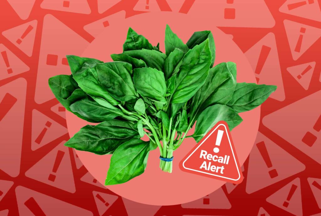 Herbs Recalled in Canada Due to Insect Contamination