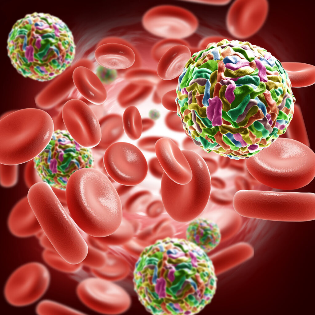 Immune System Flags Dengue Vaccination Vulnerabilities
