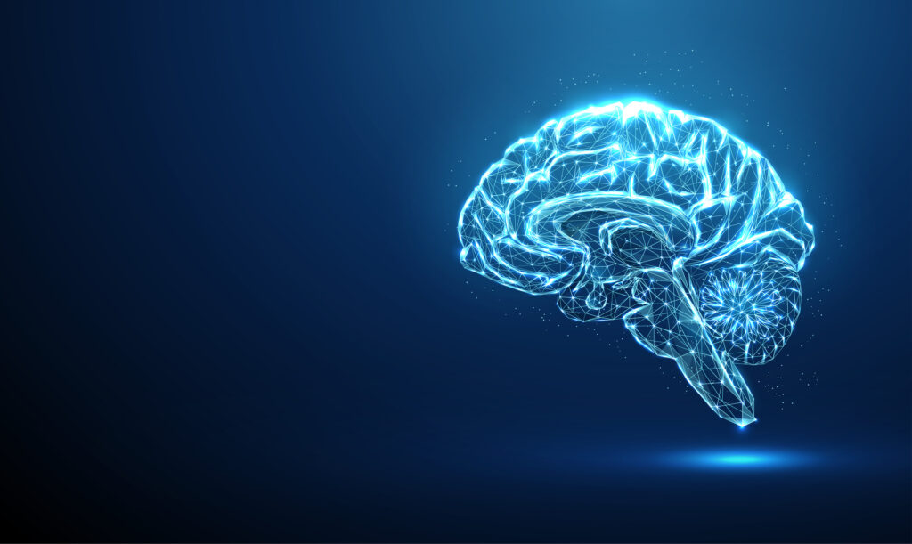 MRI Technique Detects Brain Iron, Indicates Risk of Cognitive Decline