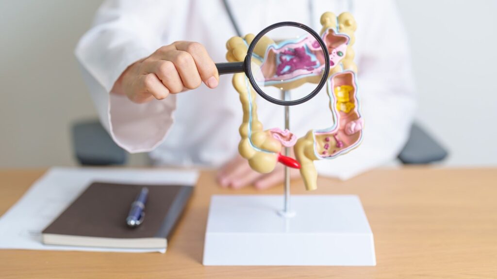 MRM Health secures $64m for microbiome-based pipeline