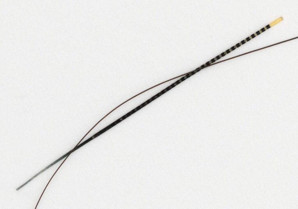 NeuroString: Tiny Implantable Fibers Could Change Brain and Gut Medicine