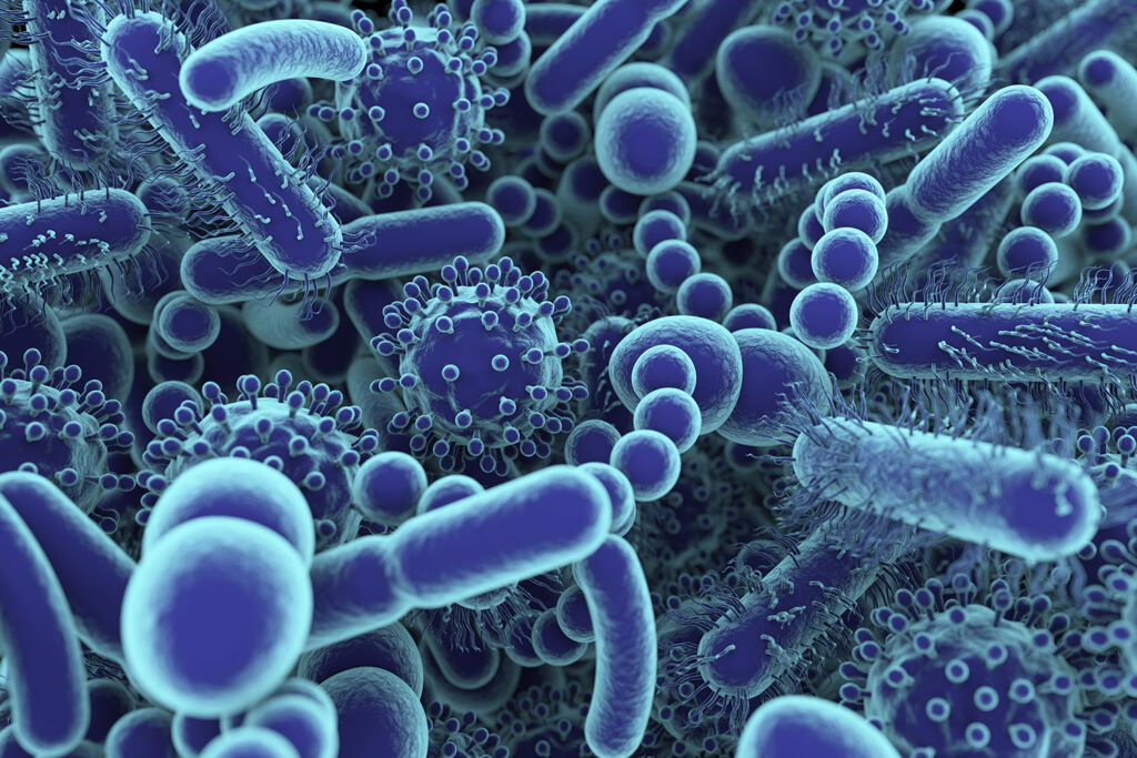 Conceptual illustration of human microbiome microbes. The microbiome is the collection of microbes found on and in the human body. Some of the microbes help to keep us healthy and it may be possible to transfer these good microbes (probiotics) from a donor to a patient to treat an illness.