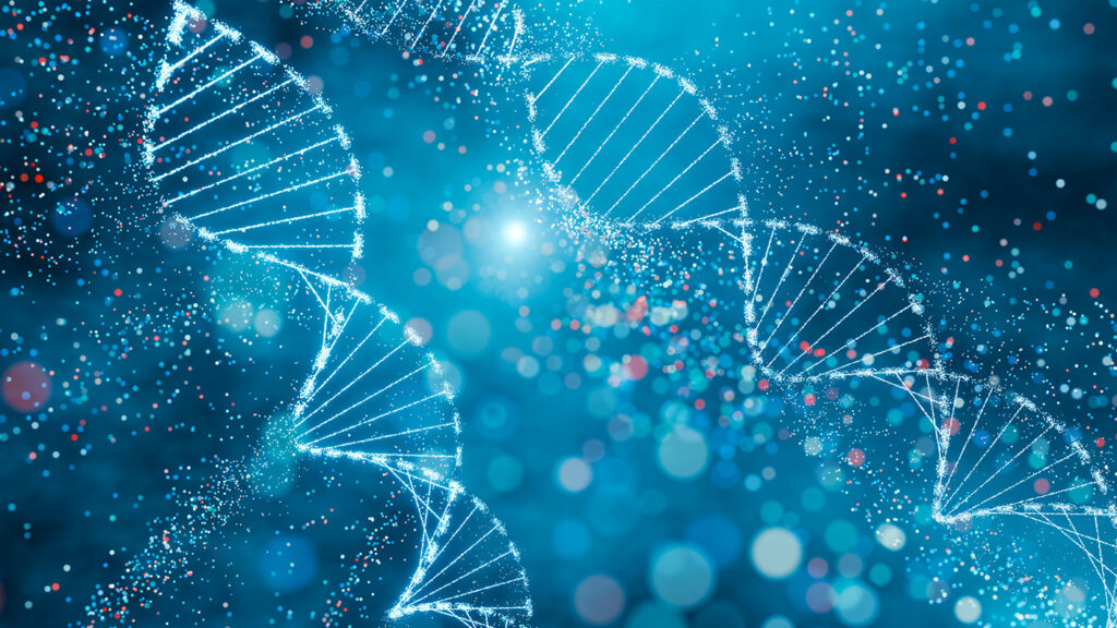 DNA double helix