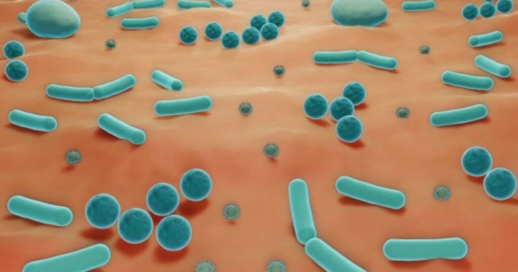 Probiotic improves vaginal dysbiosis in new research