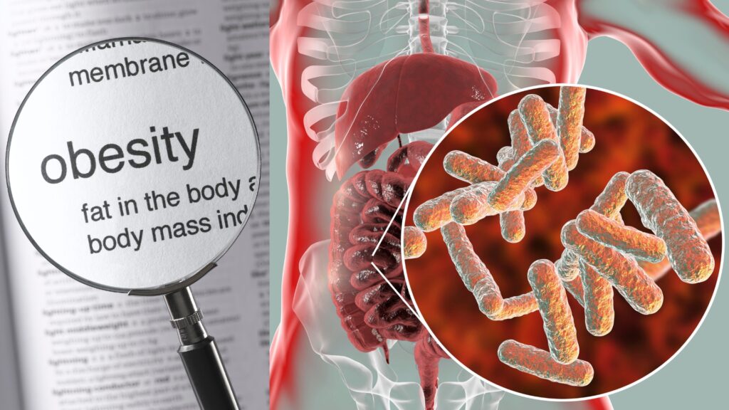 Reinforcing Scientific Findings, Insecticide Permethrin Found To Alter Gut Microbiome, Causing Obesity - Beyond Pesticides Daily News Blog