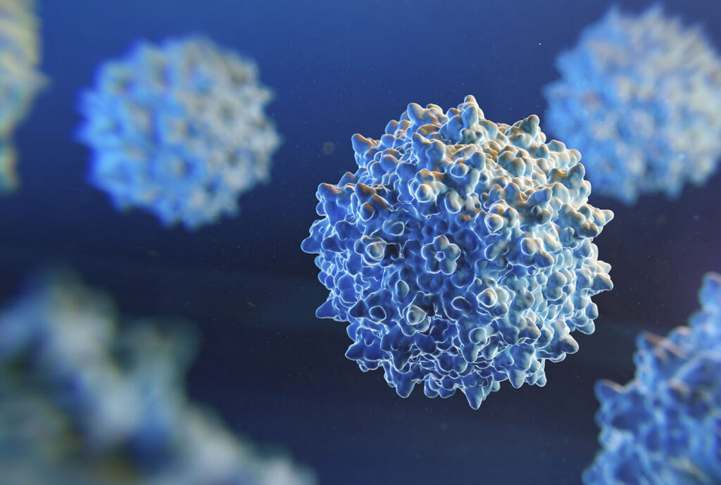 adeno-associated virus (AAV)