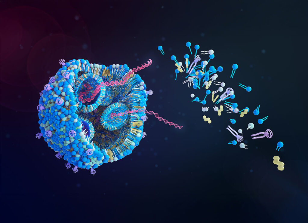 Lipid nanoparticle structure, illustration