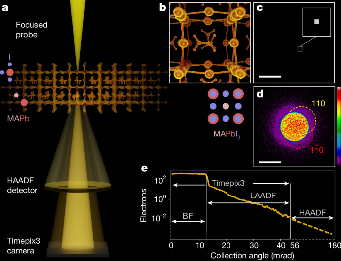 Atomically resolved edges and defects in lead halide perovskites Atomically resolved edges and defects in lead halide perovskites
