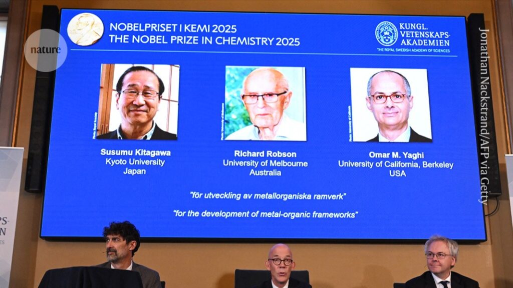 Chemistry Nobel for scientists who developed massively porous ‘super sponge’ materials