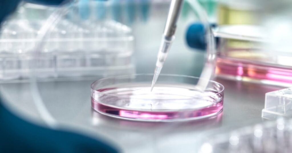 Collagen, NMN, longevity in research round-up