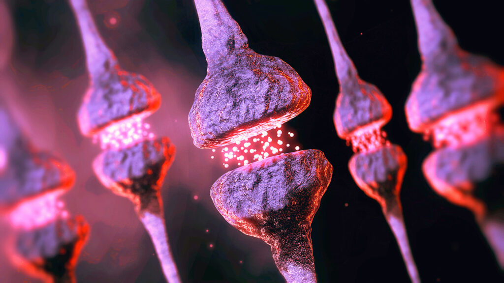 Cryo-ET Reveals “Kiss-Shrink-Run” Neurotransmission Mechanism