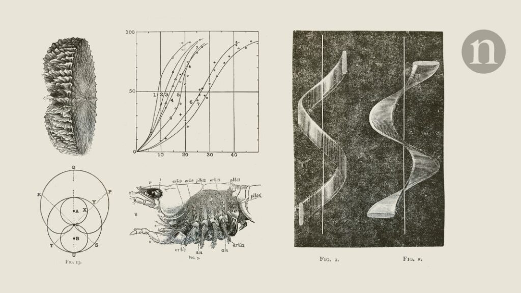 Early efforts to understand the processes underlying bird migration