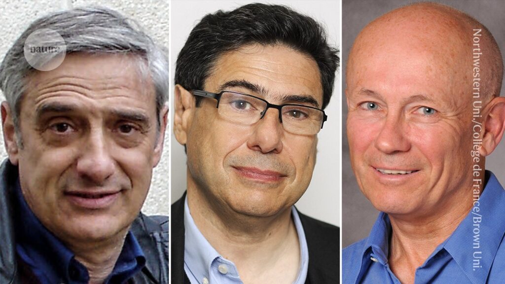 Economics Nobel prize won by researchers who showed how science boosts growth