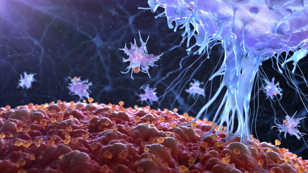 Engineered Bacterial Therapy Trains Immune System to Fight Solid Tumors