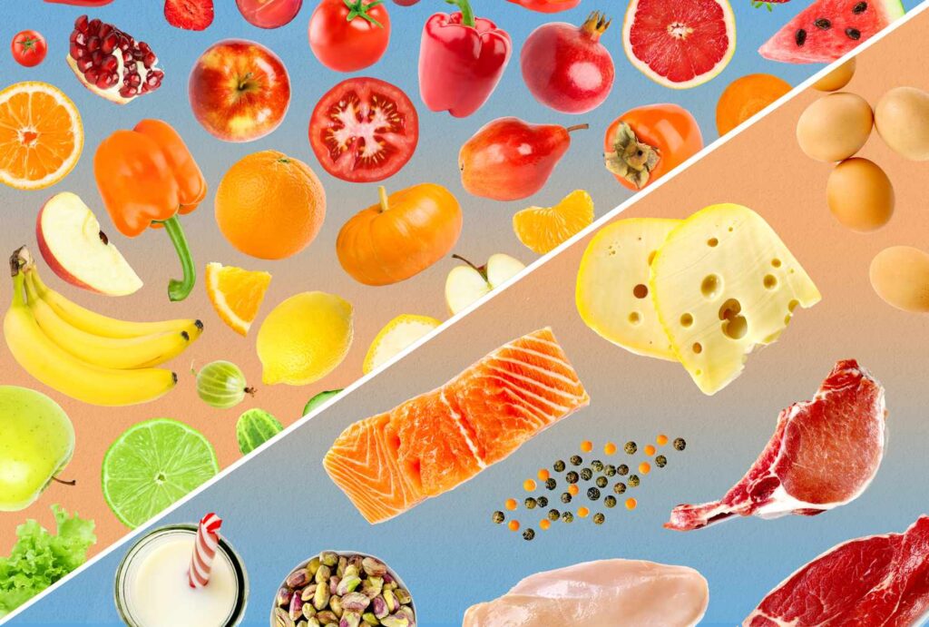 Fiber vs. Protein: Which Should You Prioritize?