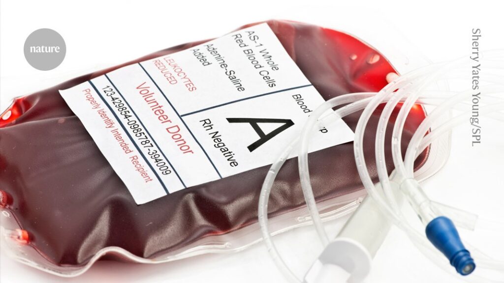 First human transplant of kidney modified to have ‘universal’ blood type