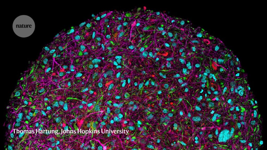 Four game-changing immunology tools to watch
