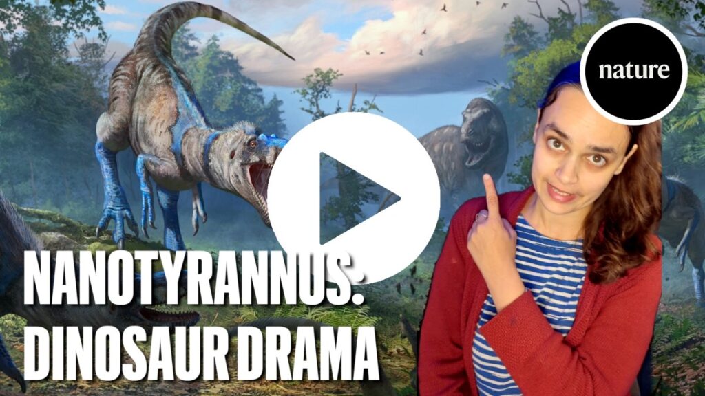 Hotly debated dinosaur is not a tiny <i>T. rex</i> after all