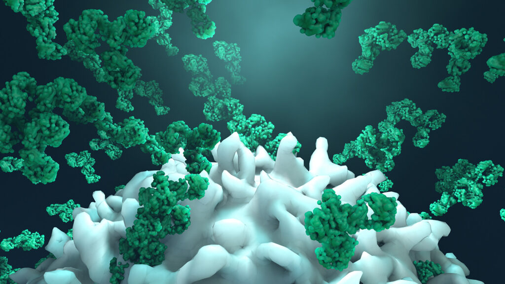 How Small-Scale ATF Systems Bridge the Gap to Commercial mAb Manufacturing Antibodies attack a cancer cell or virus