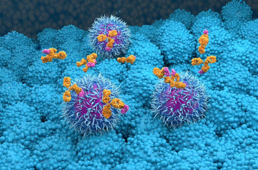 mAb for Pancreatic Cancer
