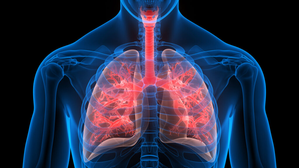 How the Lungs Repair Themselves: A Molecular Switch for Regeneration