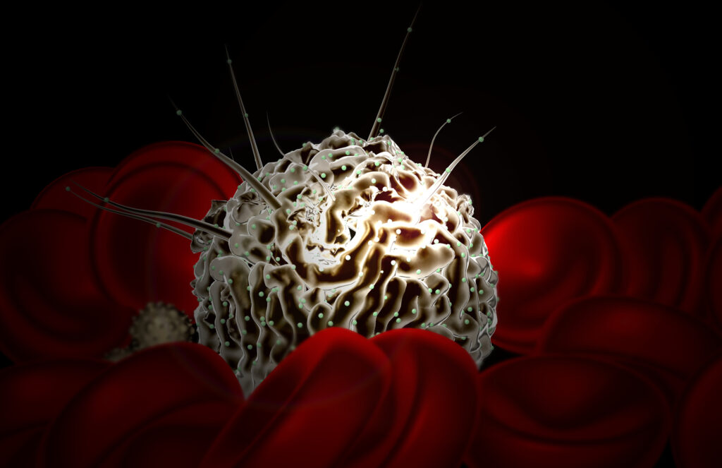 Human Embryo Model Produces Blood Stem Cells