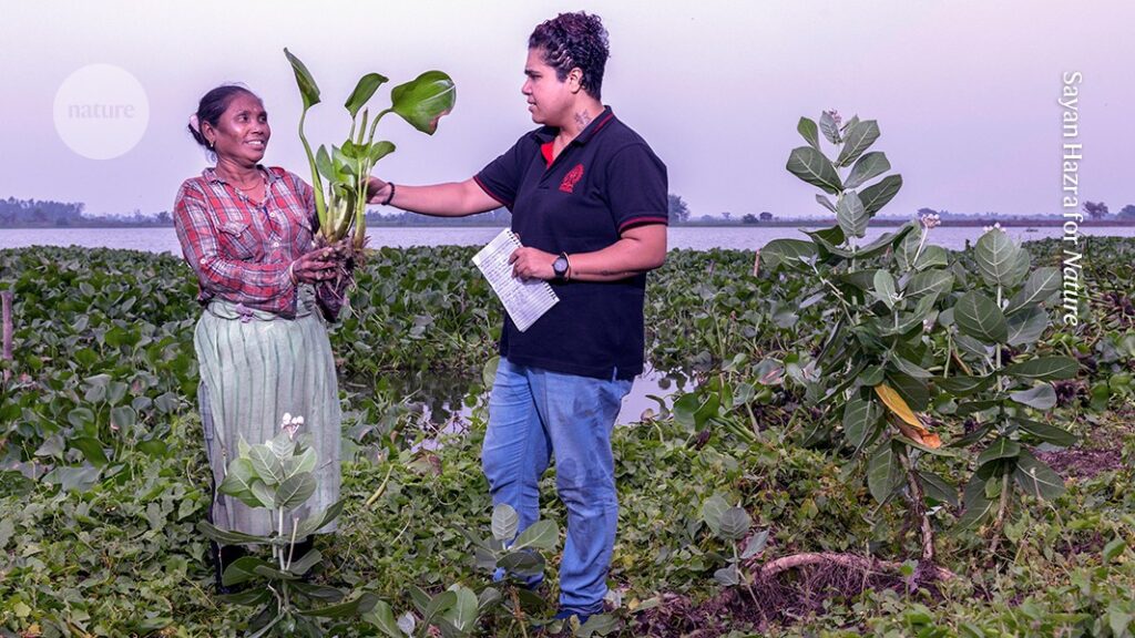 I trace the history of the East Kolkata Wetlands
