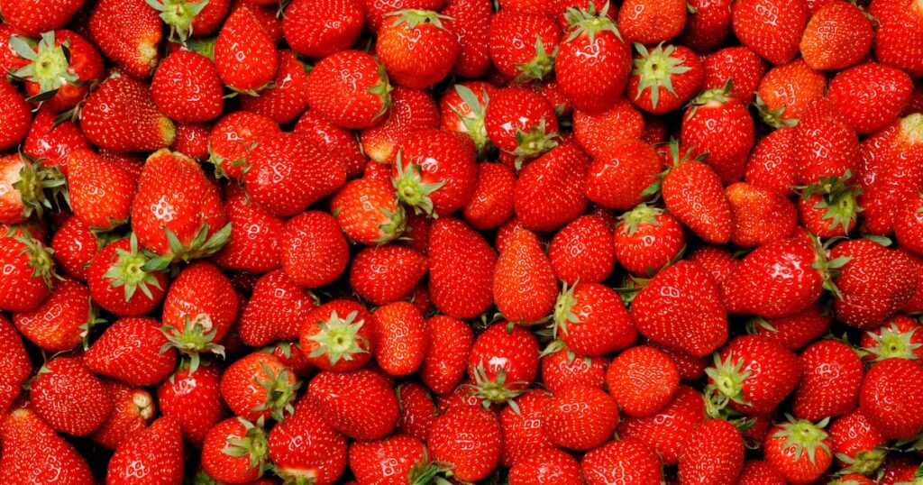 Israeli start-up launches plant-cell cultivated strawberry bioactives for supplements
