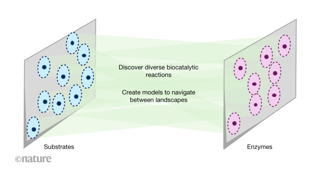 Machine learning matches enzymes with molecular substrates