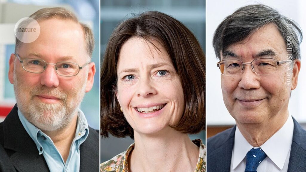 Medicine Nobel goes to scientists who revealed secrets of immune system ‘regulation’