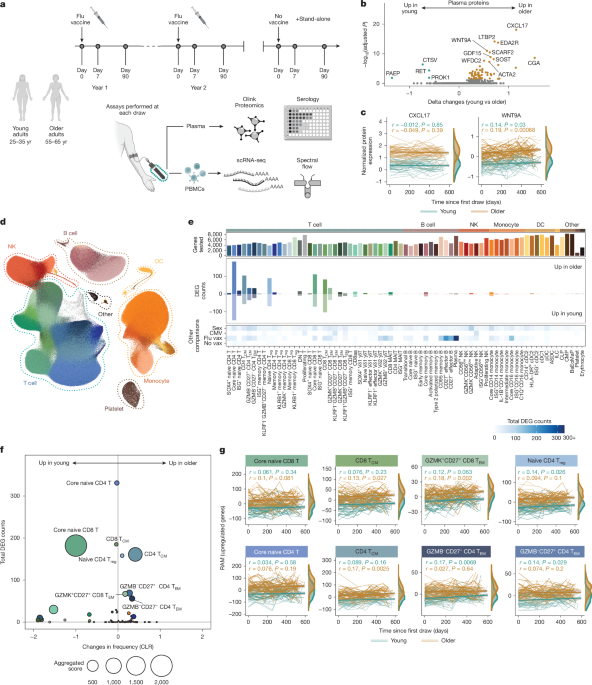 Multi-omic profiling reveals age-related immune dynamics in healthy adults Multi-omic profiling reveals age-related immune dynamics in healthy adults