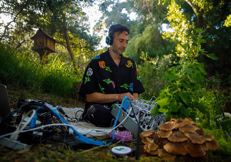 Mushroom Music: Tuning into Nature’s Bioelectric Rhythms The Scientist Logo