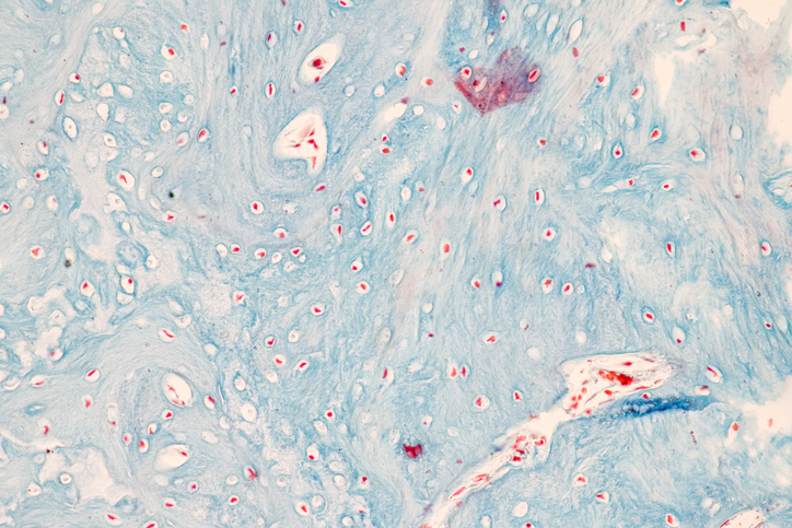 Novel CLIC5 Gene Therapy Uses AAV Technology to Treat Hearing Loss Characteristics Tissue of Internal ear Human under the microscope in Lab.