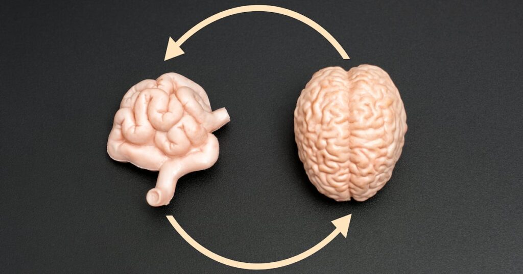 Probiotic may enhance cognitive function in mild impairment: Study Probiotic may enhance cognitive function in mild impairment: Study