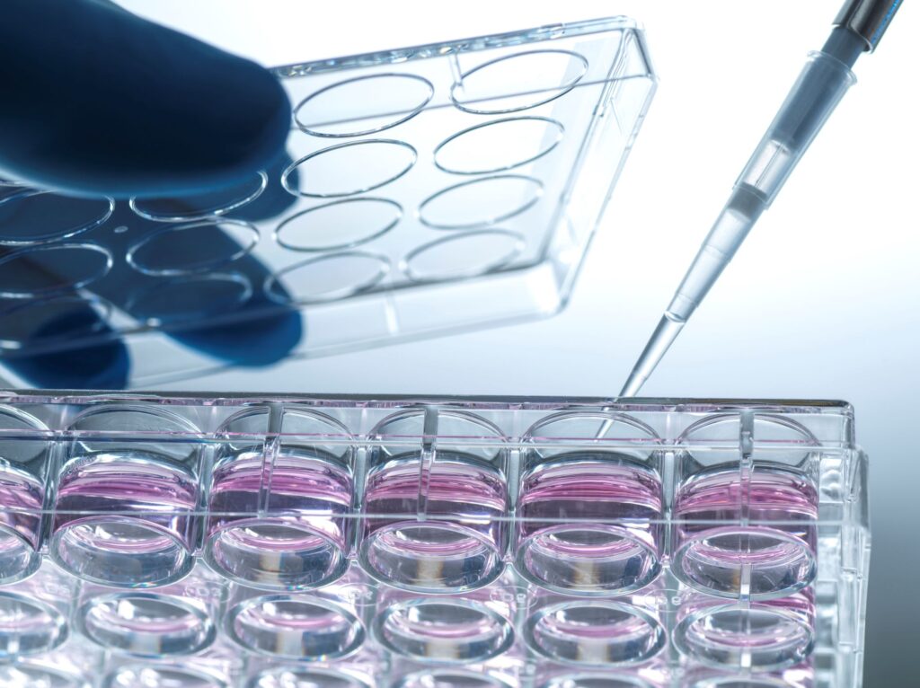 PromoCell Adopts GMP Standards with Custom Cell Culture Media Services