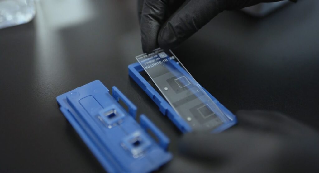 10X genomics visual spatial biology tool