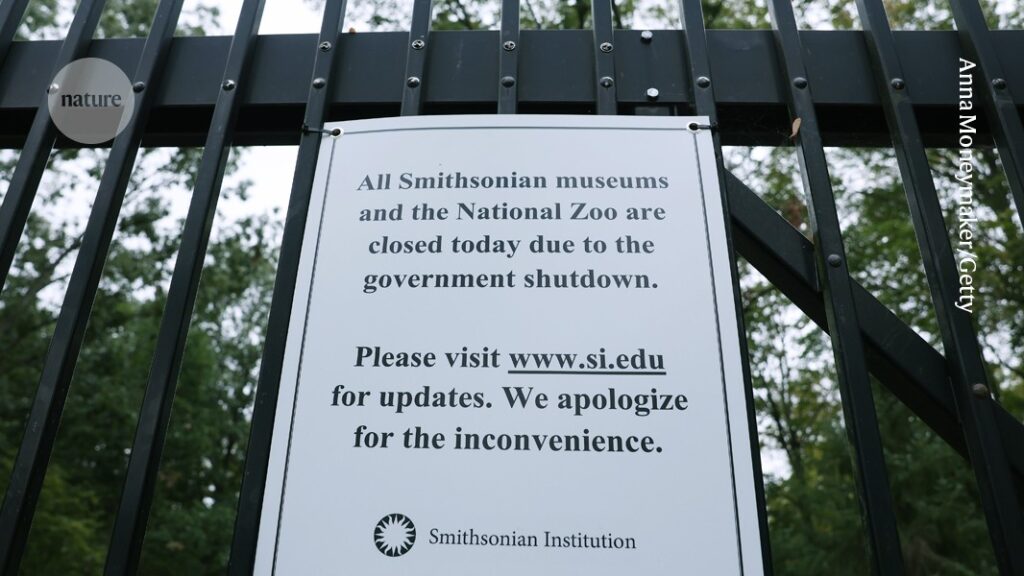 Scientists lose jobs and grants as US government shutdown takes a toll