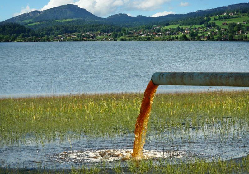 Short-Chain PFAS Eclipse Their Longer Counterparts in Blood Serum The Scientist Logo