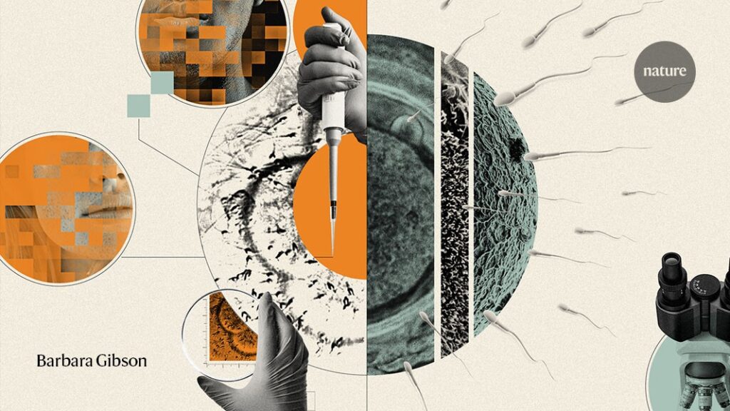 The quest to make babies with lab-grown eggs and sperm