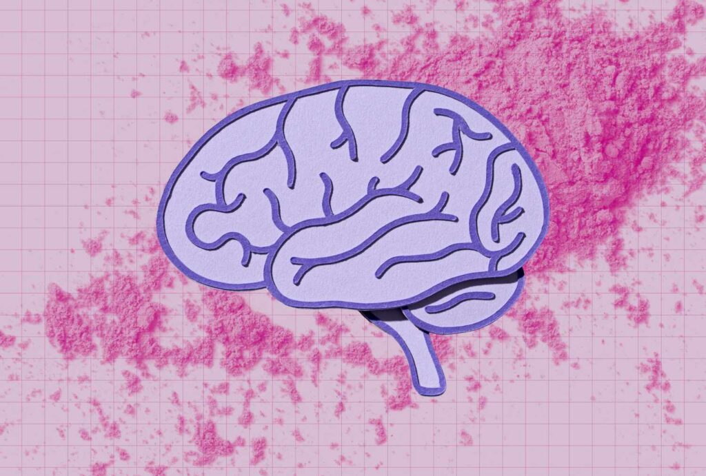 What Happens to Your Brain When You Take Creatine What Happens to Your Brain When You Take Creatine